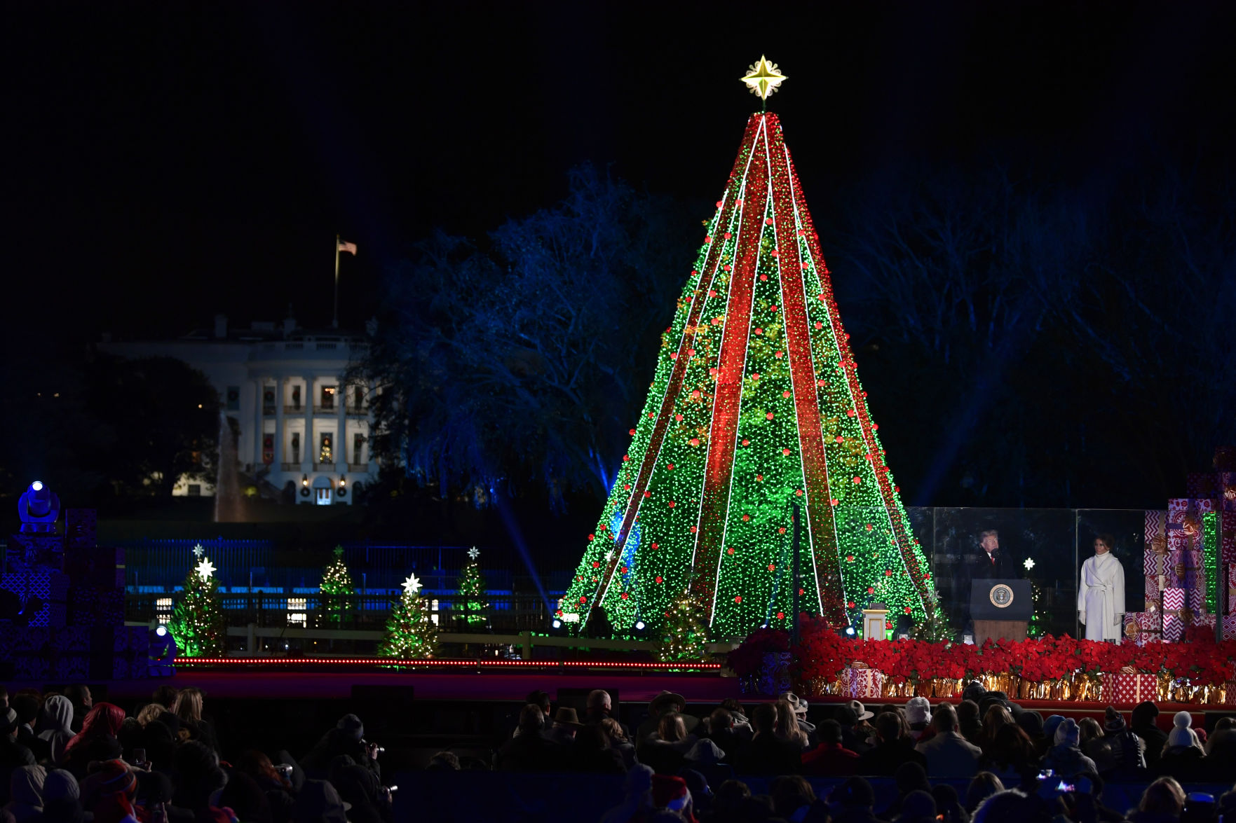 Trump Christmas Tree